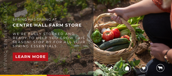 Person harvesting fresh vegetables into a woven basket in a garden, with promotional text for Centre Hall Farm Store highlighting spring essentials and a 'Learn More' button.